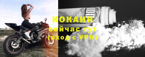 прущие грибы Навашино