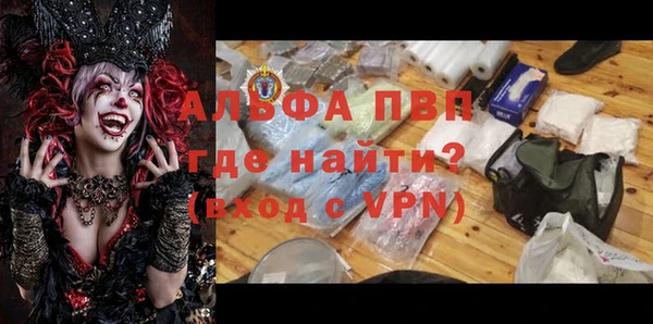 прущие грибы Навашино