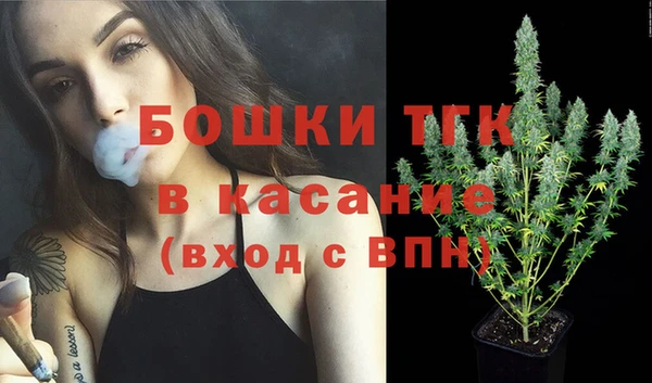 прущие грибы Навашино