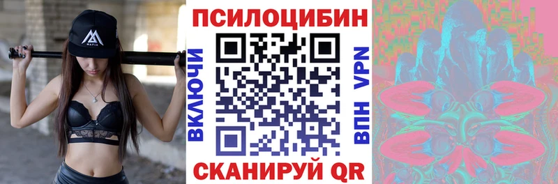 Галлюциногенные грибы Psilocybe  мориарти Telegram  Северск 